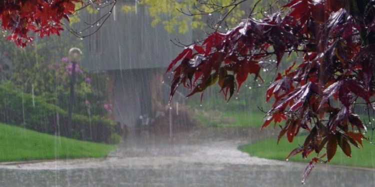 Врне дожд во цела Македонија: На Попова Шапка наврнало 55 литри дожд