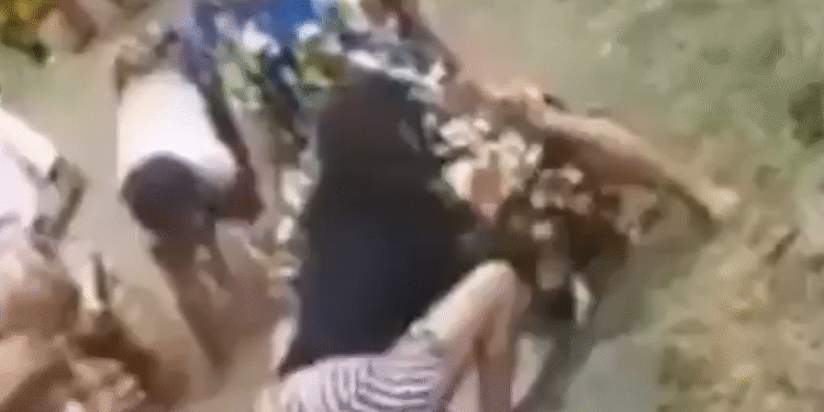 Сестрите на невестата решија да го пробаат зетот пред свадбата – ако добие ерекција ништо од свадбата (ВИДЕО)