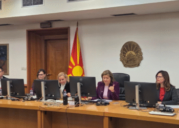 Божиновска: Енергетската транзиција се води со план, координација и одговорност