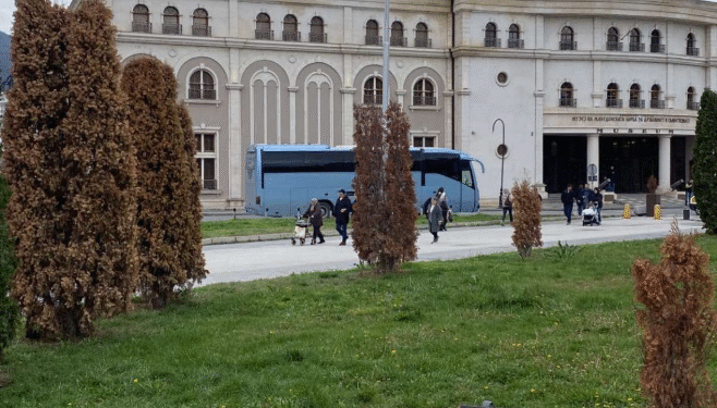 Градоначалниците не треба да чекаат исушените дрвца да оживеат, туку со нови садници да ги заменат