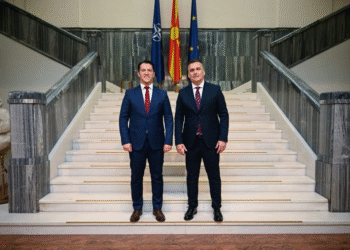 Сали се откажа од пратеничкиот мандат и стана министер за европски прашања