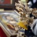 Православните христијани утре го слават Бадник, задутре Божиќ