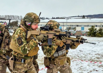 Словенија испраќа свои војници на Гренланд