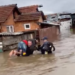 Жители спасуваат луѓе и животни од поплавените куќи во Кичево