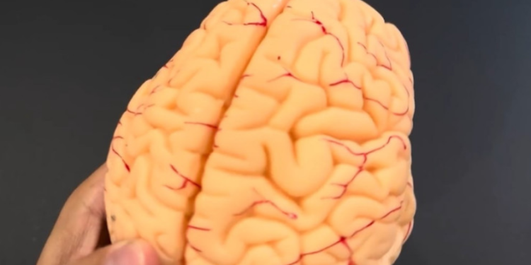 Работна група ќе утврдува што навистина се случувало со научниот проект