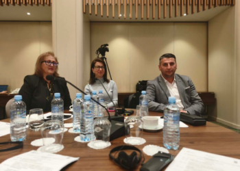 Стаменкова на настан за зајакнување на меѓуопштинската соработка