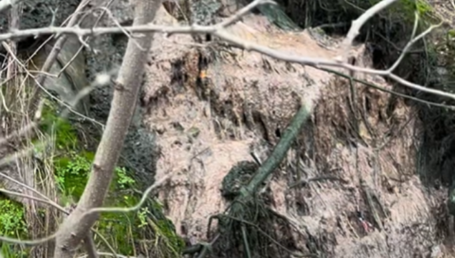 „Независни за Карпош“ реагираат за сериозен проблем со канализацијата во Горно Нерези