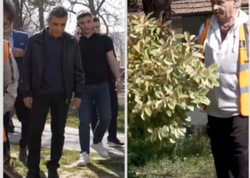 Меџити: Дрвјата од кампусот на „Мајка Тереза“ ќе се пресадат во паркот „Рилиндја“ во Чаир