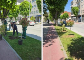 Во општина Прилеп се реализираат активностите за разубавување и унапредување на урбаното зеленило