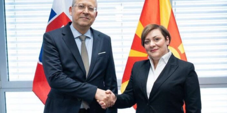Димитриеска-Кочоска: Словачка силно ја поддржува евроинтеграцијата и економските реформи на Македонија