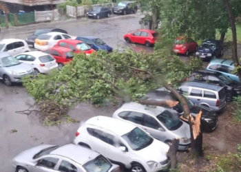 Силно невреме го погоди Скопје, паднати дрвја и блокирани улици